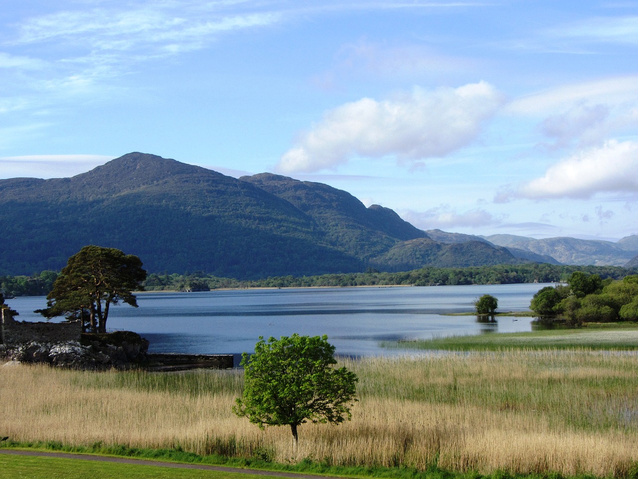 ierland killarney pixabay - De 14 mooiste plekken in Ierland: het groenste land van Europa