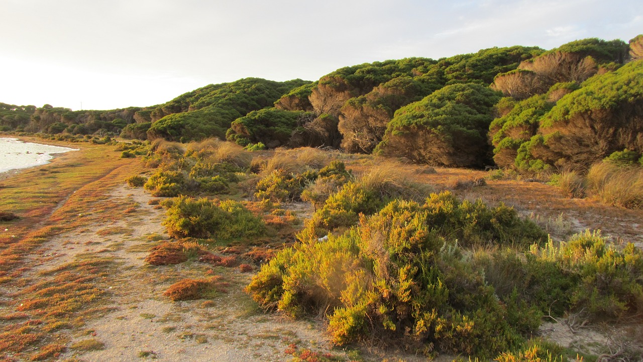 rottnest island pixabay - De 30 mooiste plekken in Australië voor jouw rondreis