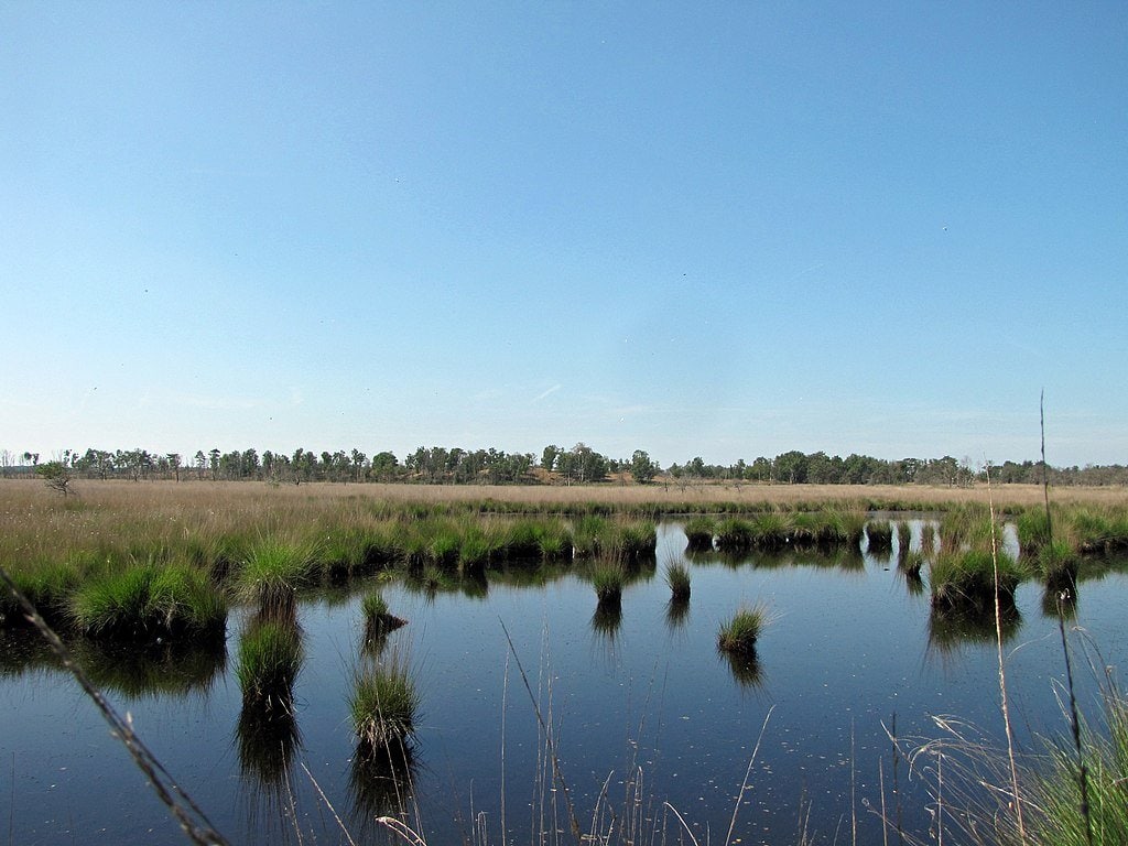 de zoom wikimedia - De 18 mooiste plekken in Noord-Brabant voor een dagje uit!